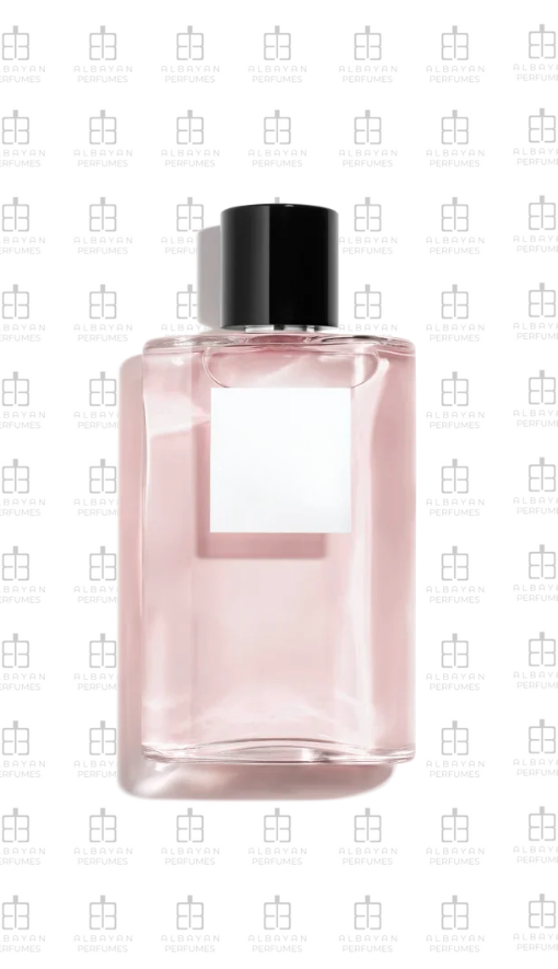 Albayan Paris - البيان باريس